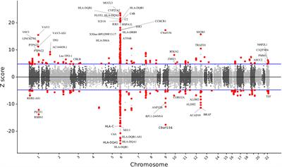 Identification of multiple novel susceptibility genes associated with autoimmune thyroid disease